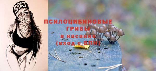 ALPHA-PVP Белокуриха