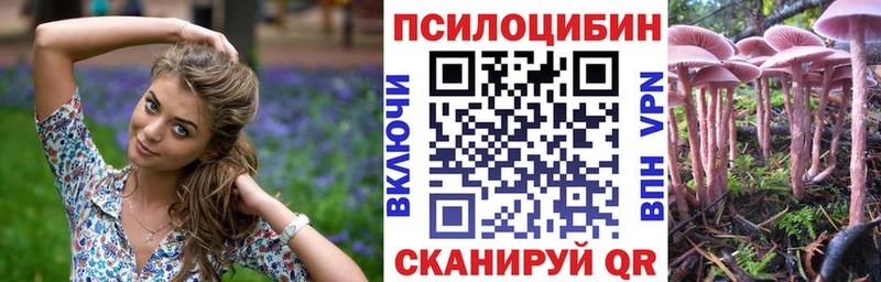 закладка Соль-Илецк Псилоцибиновые грибы ЛСД
